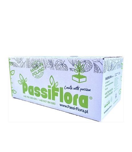 Kúpte si Floristické Mokré Hubky PASSIFLORA, 20 Kusov pre Živé Kvety
